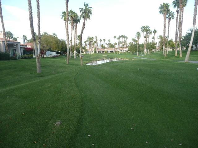 Palm Valley Cc Pickleball, Tennis, Gym, Clubhouse, Swimming Pools, Lux, Spac 2 Bdrms Den 2 Ba Palm Desert Esterno foto